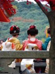 Nihon (02)
