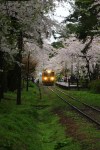 Nihon (06)