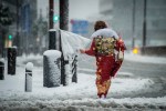 Nihon (10)