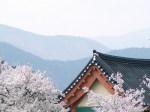 Nihon (11)