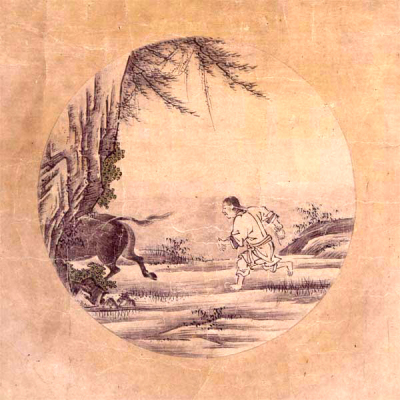 3- دیدن گاو