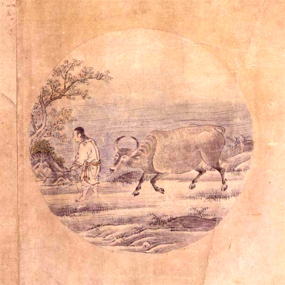 5- رام کردن گاو